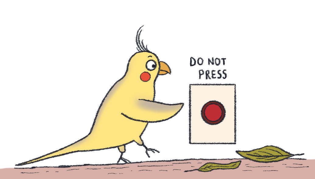 A normal cockatiel behaviour of pressing a button it shouldn't be pressing
