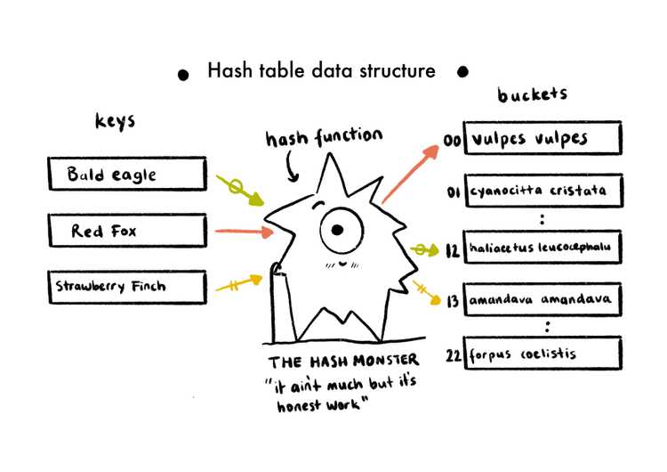 Hash Table Graph